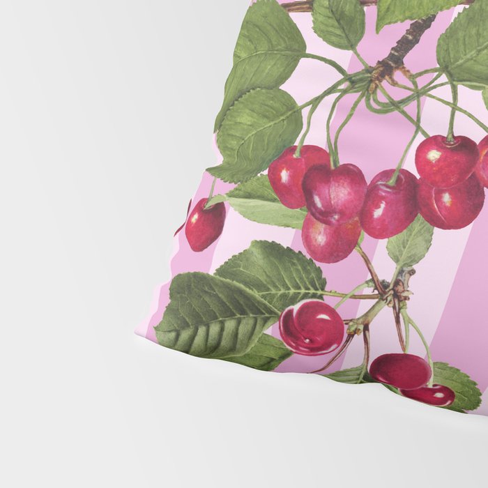 Lush Cherry Orchard Sweet Summer Fruits On Pink Stripes Pillow Sham Gallery Image 4