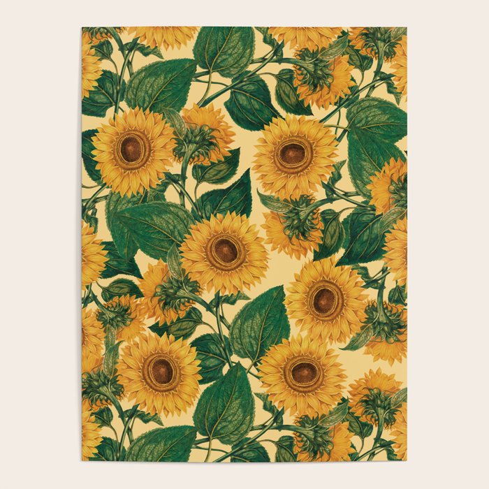 Helianthus Annuus Poster Gallery Image 4