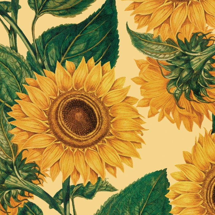 Helianthus Annuus Coffee Mug Gallery Image 2