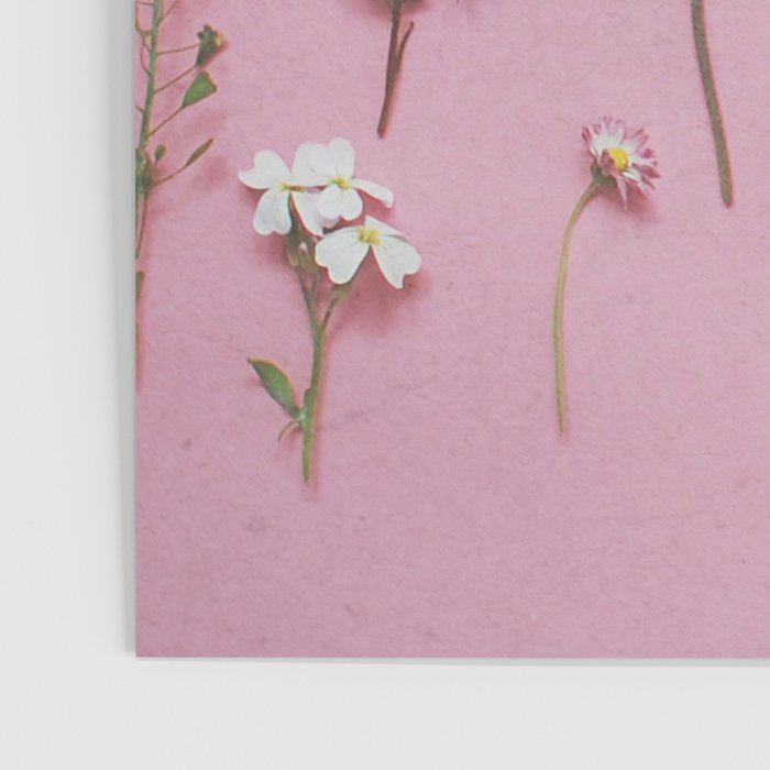 Wild Flowers Poster Gallery Image 3