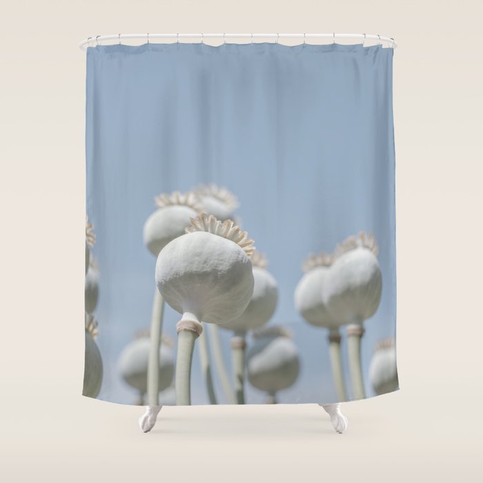 Nostalgic midtones poppy bulbs in a blue sky - retro style nature photography Shower Curtain Gallery Image 1