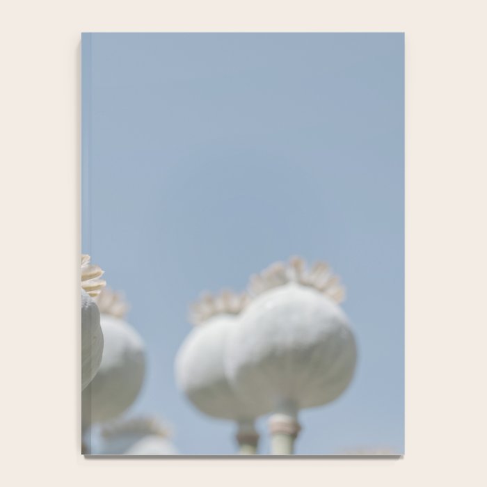 Nostalgic midtones poppy bulbs in a blue sky - retro style nature photography Notebook Gallery Image 4