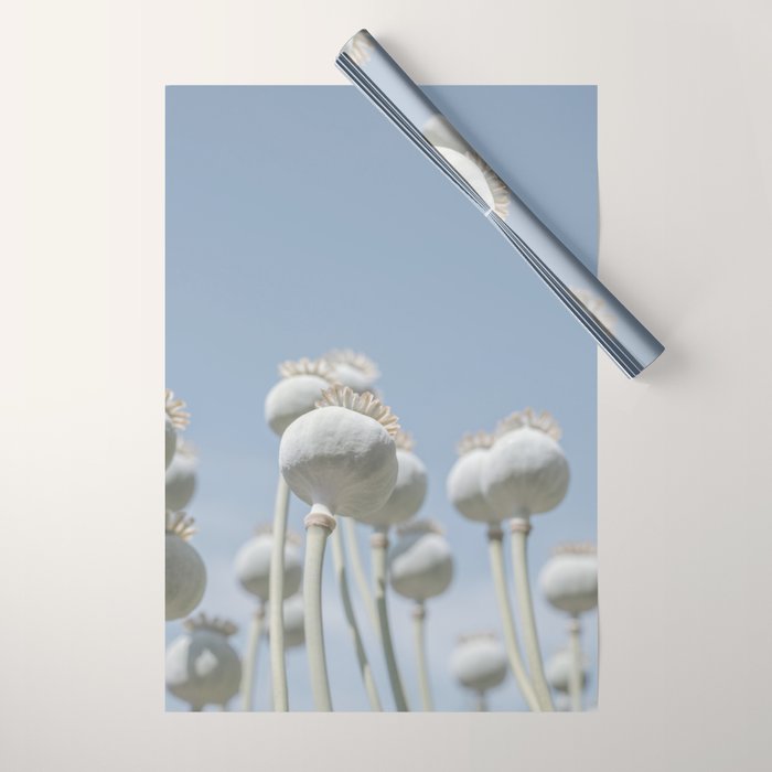 Nostalgic midtones poppy bulbs in a blue sky - retro style nature photography Wrapping Paper Gallery Image 1
