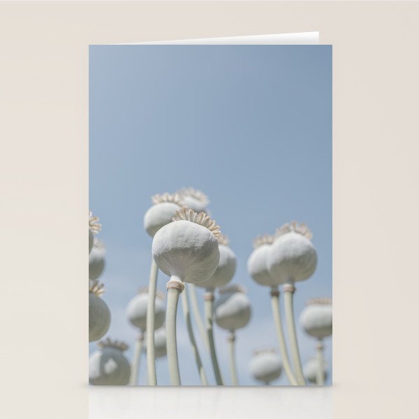 Nostalgic midtones poppy bulbs in a blue sky - retro style nature photography Stationery Card Gallery Image 2