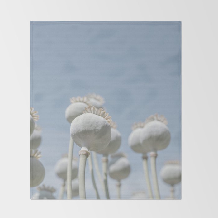 Nostalgic midtones poppy bulbs in a blue sky - retro style nature photography Throw Blanket Gallery Image 2