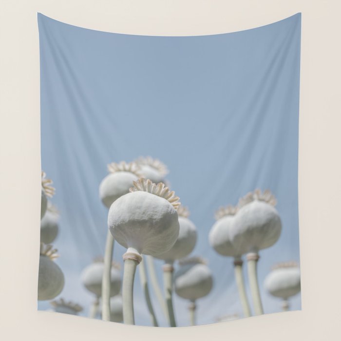 Nostalgic midtones poppy bulbs in a blue sky - retro style nature photography Wall Tapestry Gallery Image 4