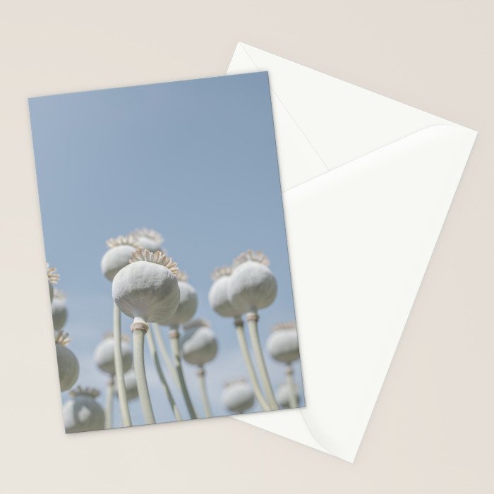 Nostalgic midtones poppy bulbs in a blue sky - retro style nature photography Stationery Card Gallery Image 2