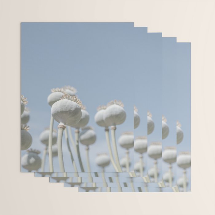 Nostalgic midtones poppy bulbs in a blue sky - retro style nature photography Wrapping Paper Gallery Image 3