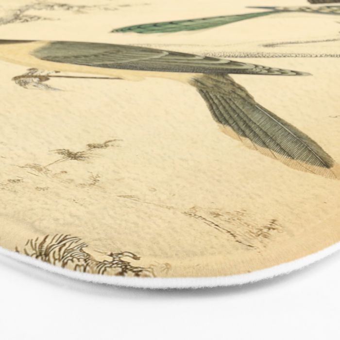 Jays from The Edinburgh Journal, 1835 (benefitting The Nature Conservancy) Bath Mat Gallery Image 3