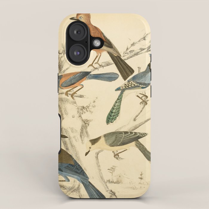 Jays from The Edinburgh Journal, 1835 (benefitting The Nature Conservancy) iPhone Case Gallery Image 1