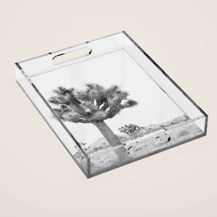 Joshua Tree Acrylic Tray Gallery Image 1