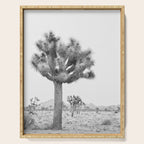 Joshua Tree Serving Tray Gallery Image 1