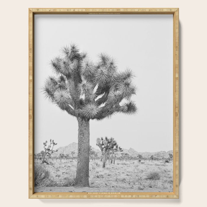 Joshua Tree Serving Tray Gallery Image 1