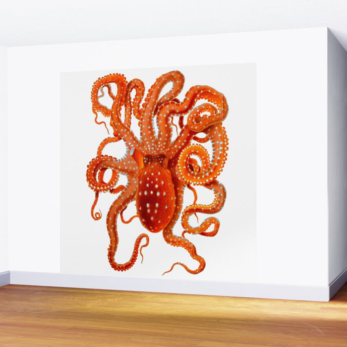 Vintage Octopus Wall Mural Gallery Image 2