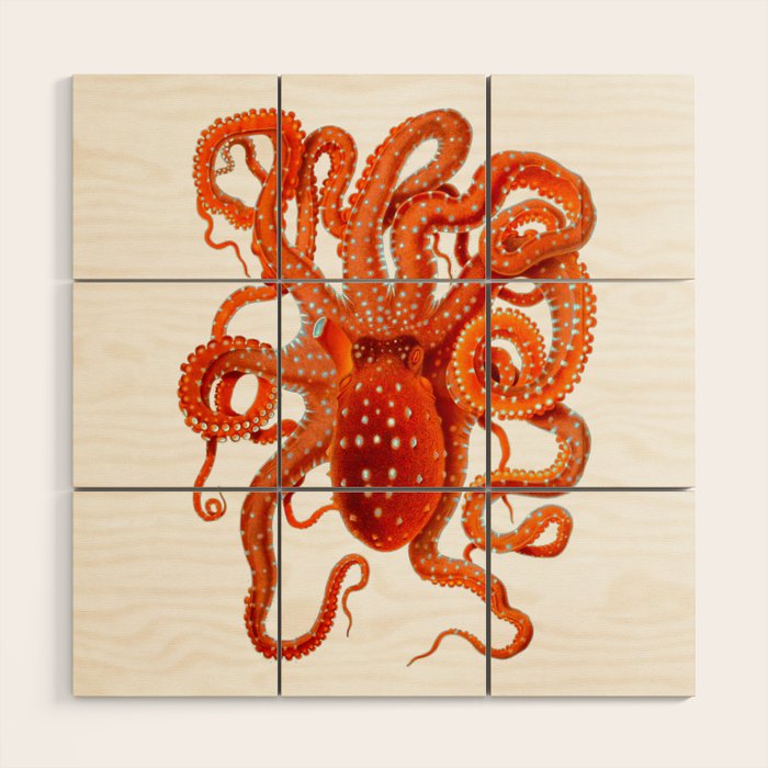 Vintage Octopus Wood Wall Art Gallery Image 1