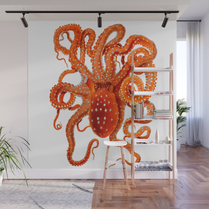 Vintage Octopus Wall Mural Gallery Image 1