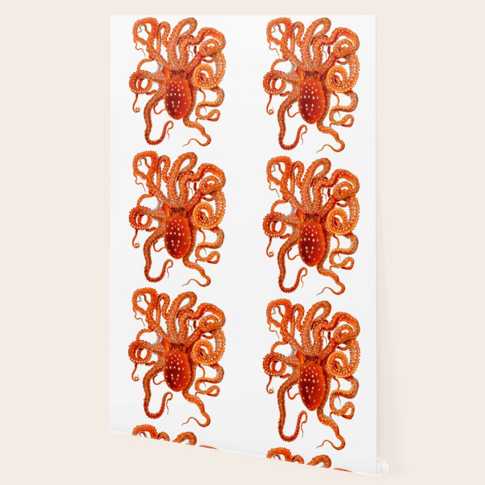 Vintage Octopus Wallpaper Gallery Image 2