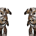 Owl Coffee Mug Gallery Image 2