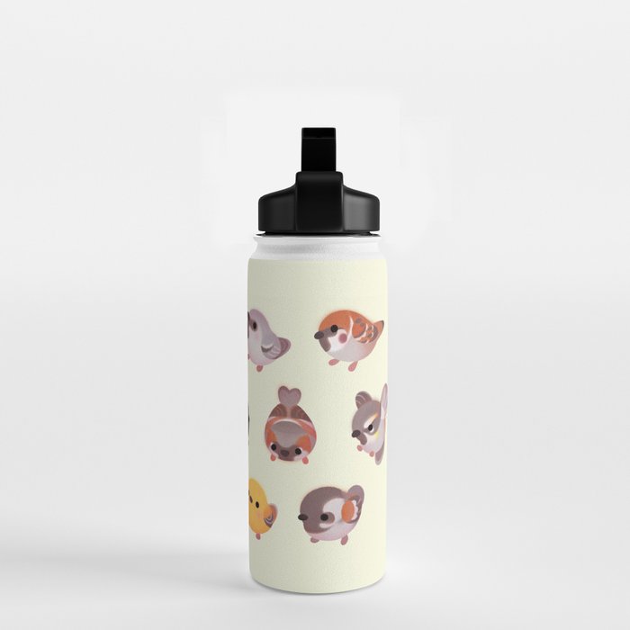 Sparrow (Passer) Water Bottle Gallery Image 2