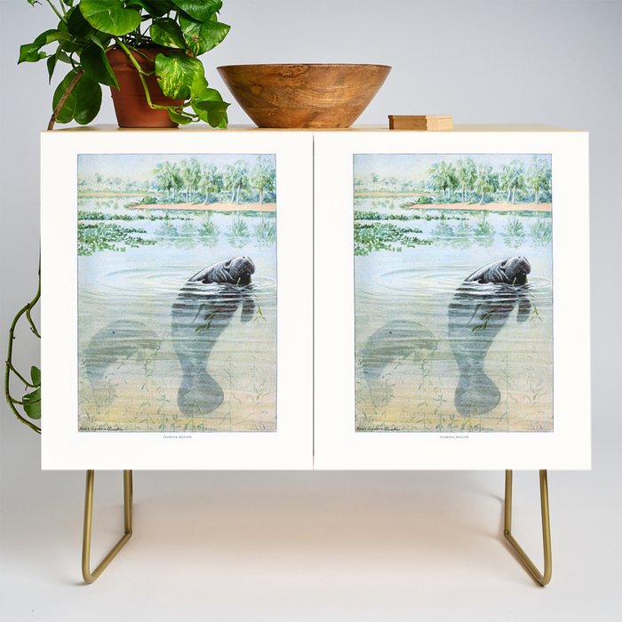Vintage Florida Manatee Credenza Gallery Image 1