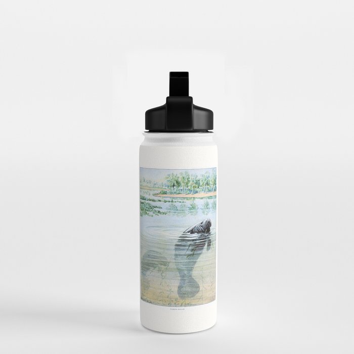 Vintage Florida Manatee Water Bottle Gallery Image 2