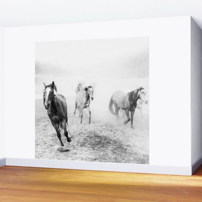 Running with the horses Wall Mural Gallery Image 2