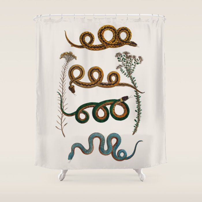 Albertus Seba Baby Breath Snakes  Shower Curtain Gallery Image 1