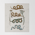 Albertus Seba Baby Breath Snakes  Throw Blanket Gallery Image 2