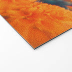 Esmeralda Welcome Mat Gallery Image 2