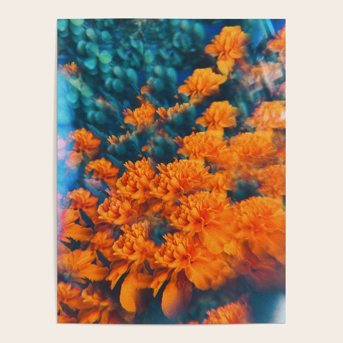 Esmeralda Poster Gallery Image 1