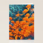 Esmeralda Stationery Card Gallery Image 2