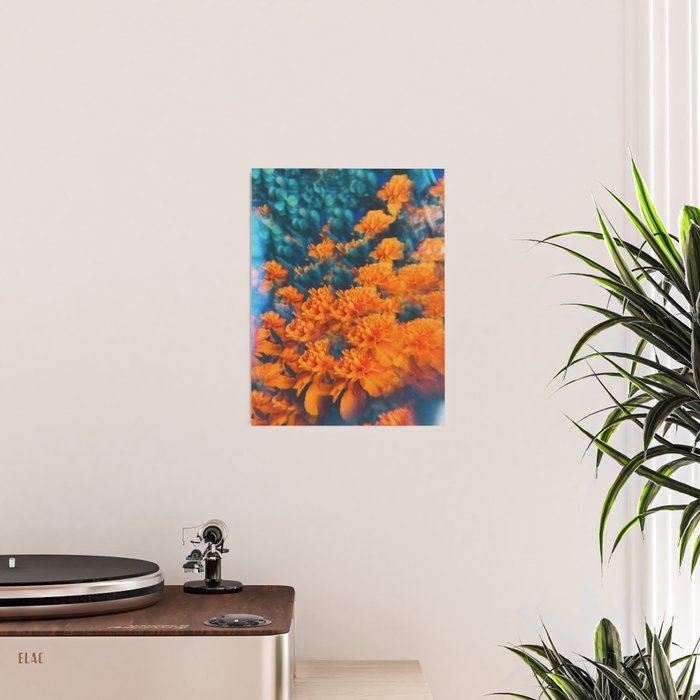 Esmeralda Poster Gallery Image 2