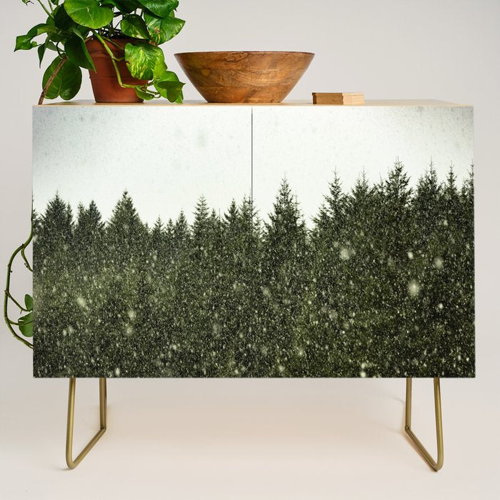 Winter Woods Pacific Northwest - Wanderlust Adventure Credenza Gallery Image 1