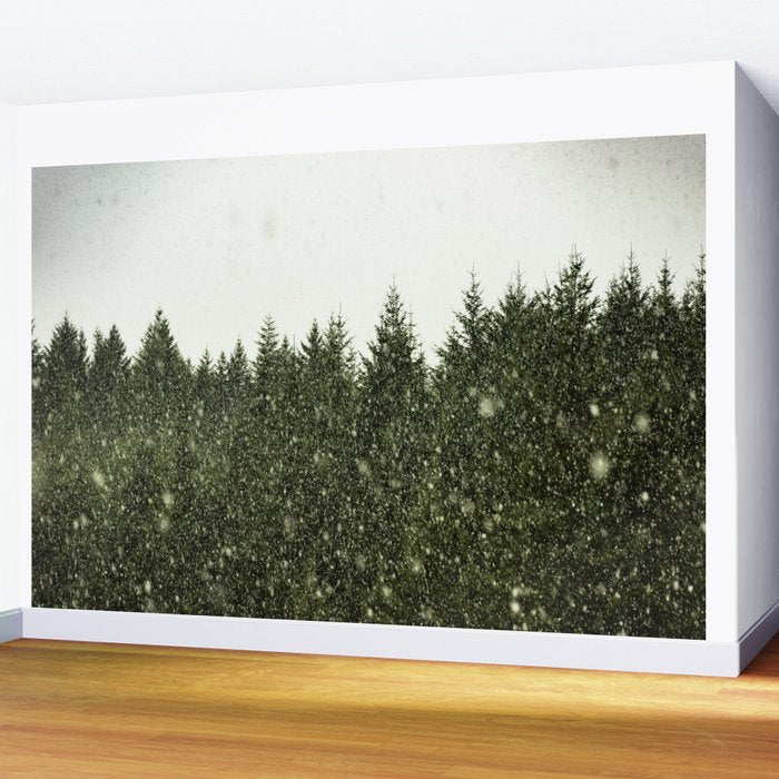 Winter Woods Pacific Northwest - Wanderlust Adventure Wall Mural Gallery Image 2