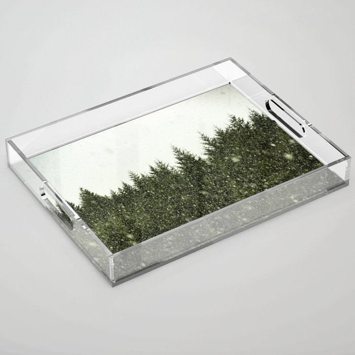 Winter Woods Pacific Northwest - Wanderlust Adventure Acrylic Tray Gallery Image 1