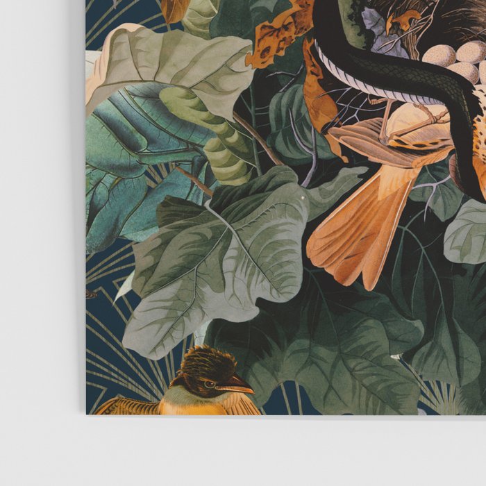 Birds and snakes Poster Gallery Image 3