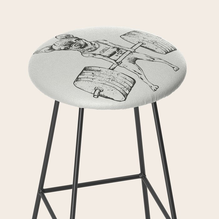 Chihuahua Lift Stool Gallery Image 2