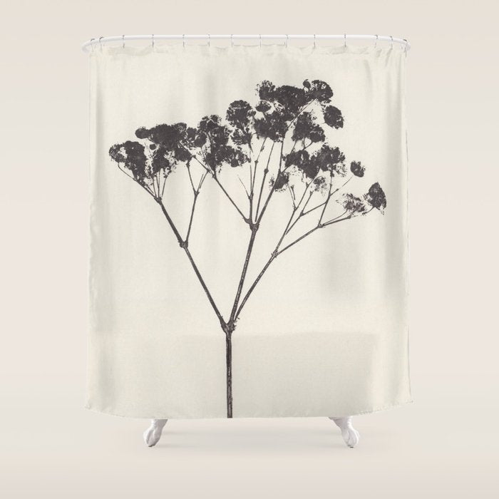 Blooms of Gypsophila #1 Shower Curtain Gallery Image 1