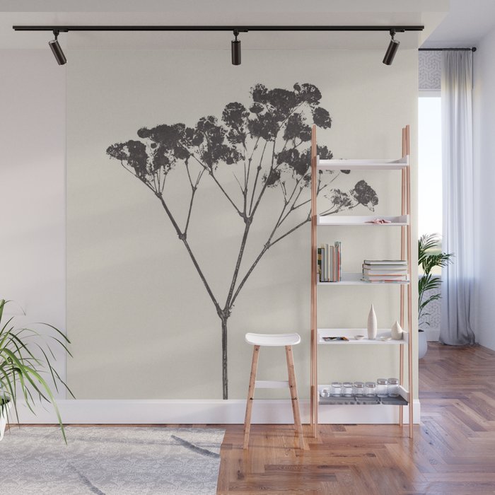 Blooms of Gypsophila #1 Wall Mural Gallery Image 1