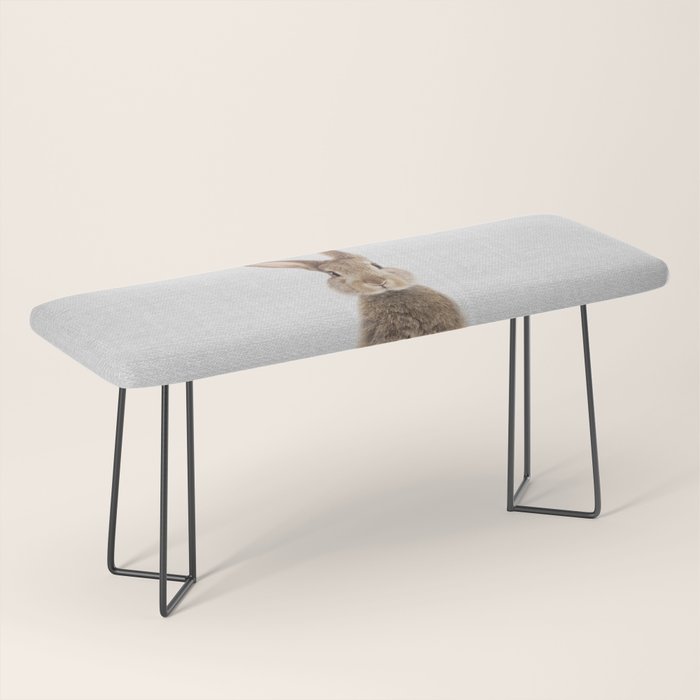 Rabbit - Colorful Bench Gallery Image 1