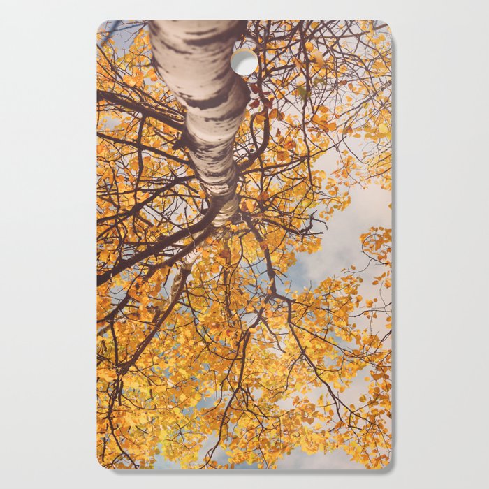 Yellow Autumn Birch Tree in the Maine Woods Cutting Board Gallery Image 1