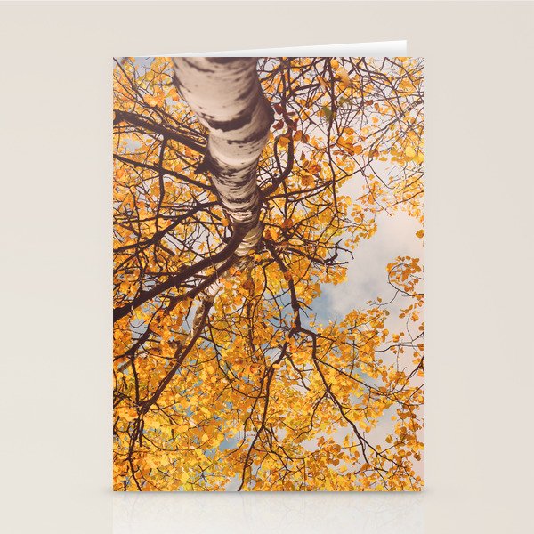 Yellow Autumn Birch Tree in the Maine Woods Stationery Card Gallery Image 1