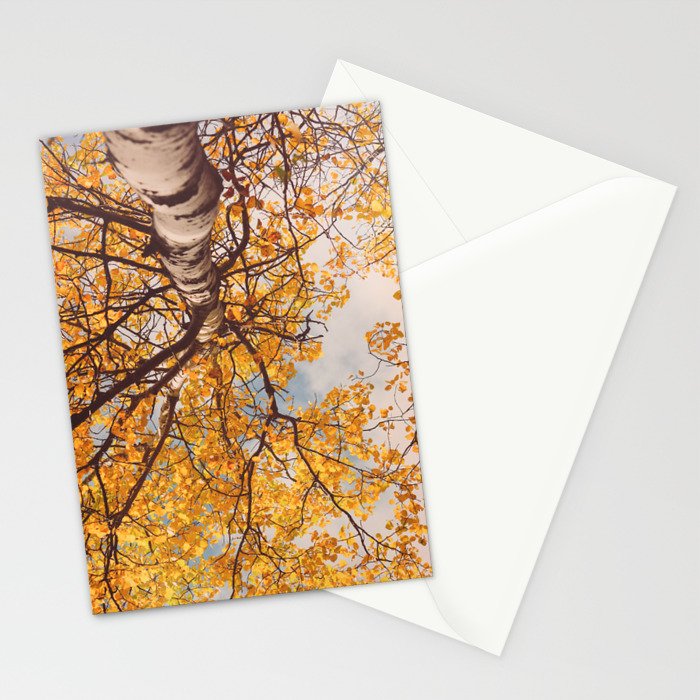 Yellow Autumn Birch Tree in the Maine Woods Stationery Card Gallery Image 2