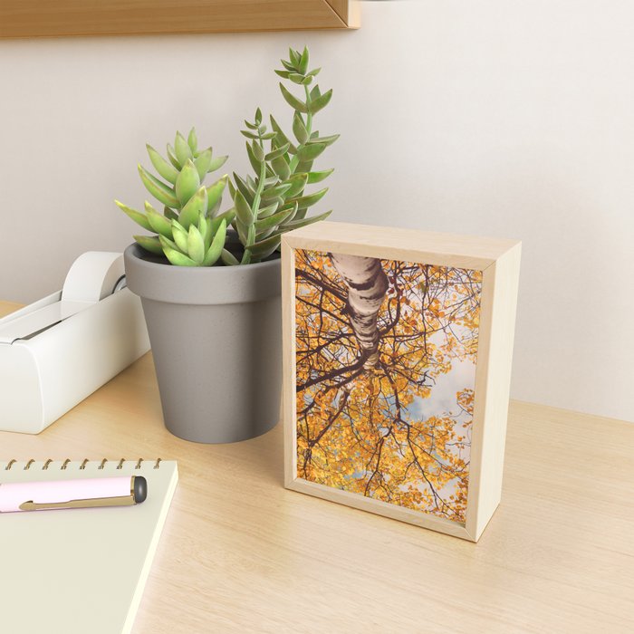 Yellow Autumn Birch Tree in the Maine Woods Mini Art Print Gallery Image 2