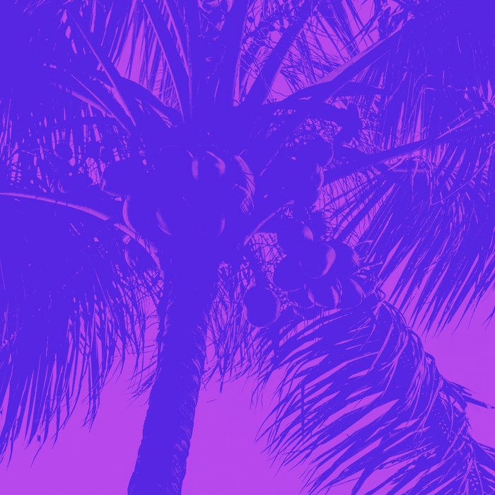 Palm Tree Pink Purple Summer Beach Coffee Mug Gallery Image 2
