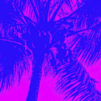 Palm Tree Pink Purple Summer Beach Coffee Mug Gallery Image 2