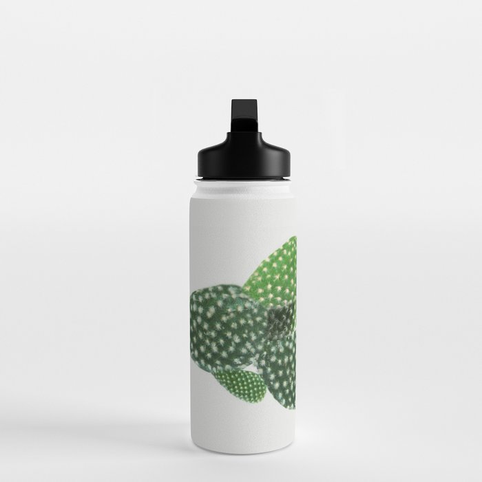 Cactus II Water Bottle Gallery Image 3