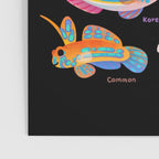 Dragonet Poster Gallery Image 3