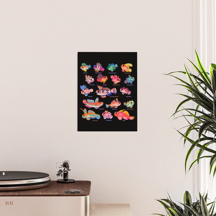 Dragonet Poster Gallery Image 2