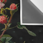 Vintage Botanical Illustration Beautiful Lush Roses Flowers Black Background Wall Tapestry Gallery Image 3
